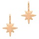 DQ metal charm Galaxy Star Rosegold